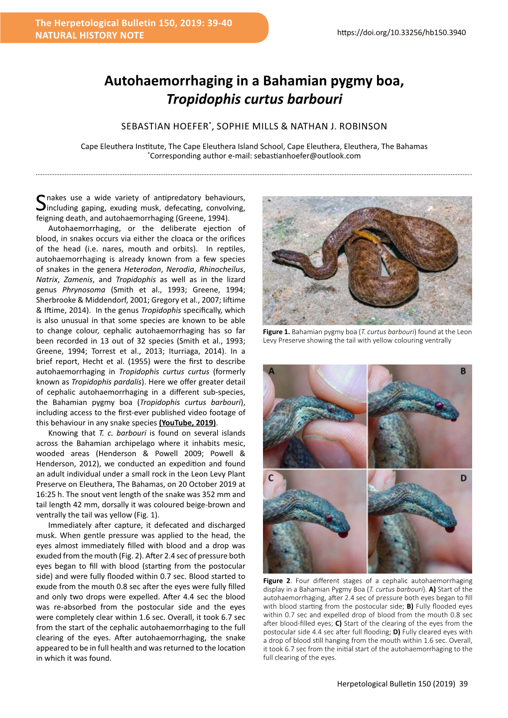 Autohaemorrhaging in a Bahamian Pygmy Boa, Tropidophis Curtus Barbouri