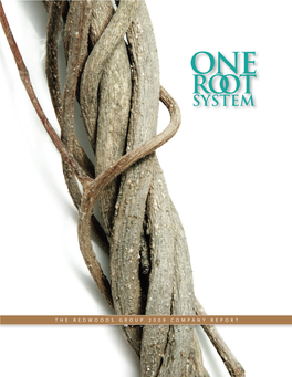 2009: One Root System