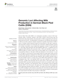 Genomic Loci Affecting Milk Production in German Black Pied Cattle (DSN)