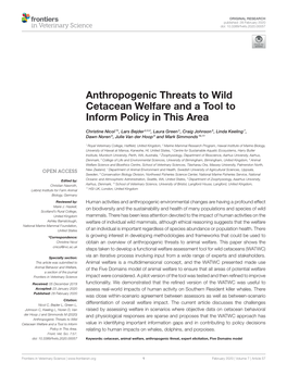Anthropogenic Threats to Wild Cetacean Welfare and a Tool to Inform Policy in This Area