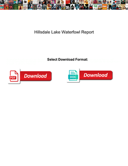 Hillsdale Lake Waterfowl Report