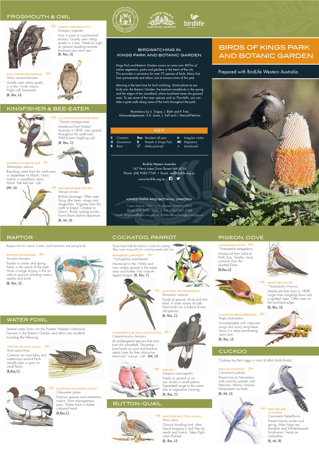 Birds of Kings Park and Botanic Garden
