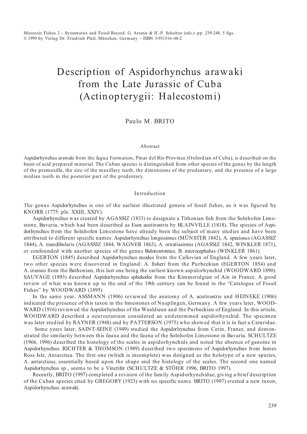Description of Aspidorhynchus Arawaki from the Late Jurassic of Cuba (Actinopterygii: Halecostomi)