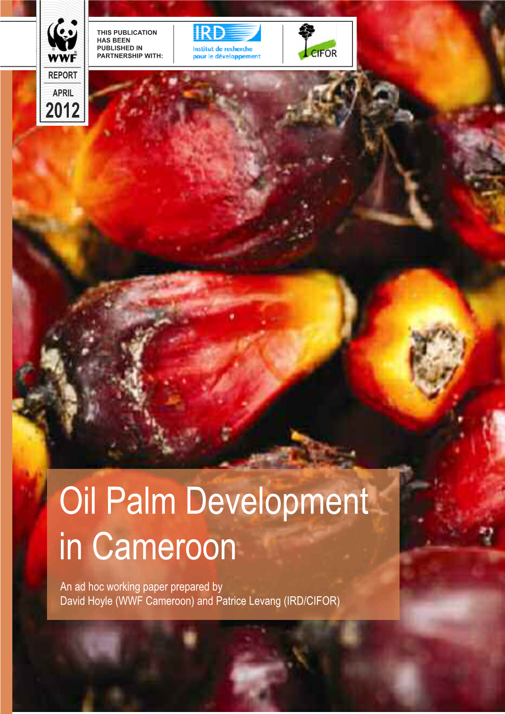 Palm Oil Development in Cameroon