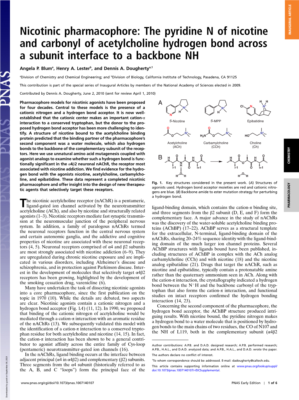 Nicotinic Pharmacophore: the Pyridine N of Nicotine INAUGURAL ARTICLE and Carbonyl of Acetylcholine Hydrogen Bond Across a Subunit Interface to a Backbone NH