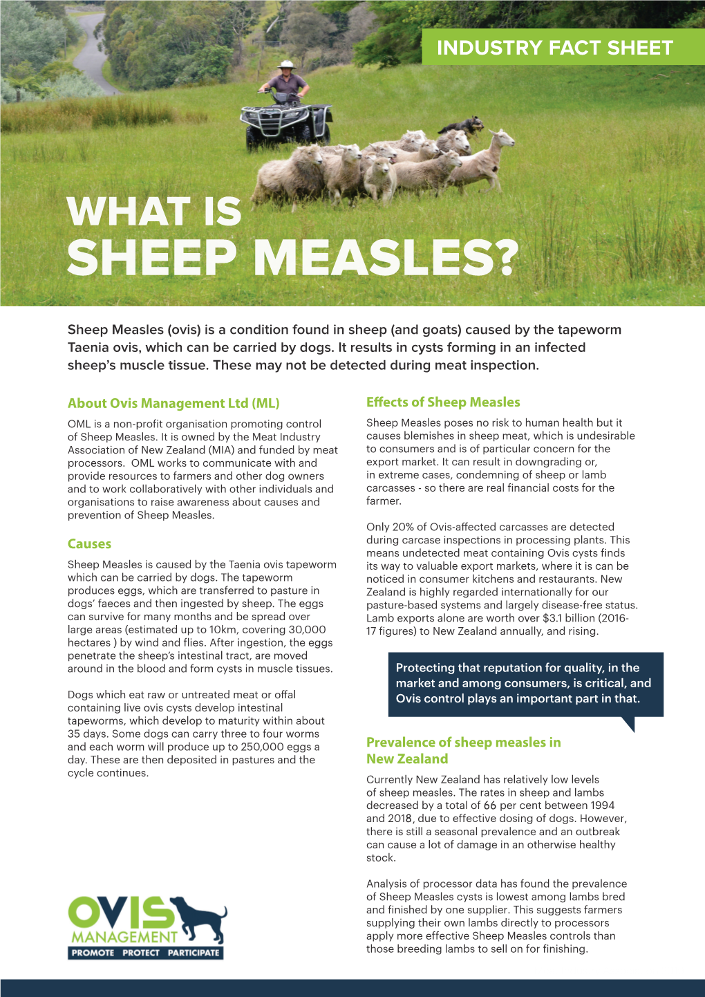 Sheep Measles?