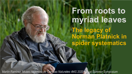 From Roots to Myriad Leaves the Legacy of Norman Platnick in Spider Systematics