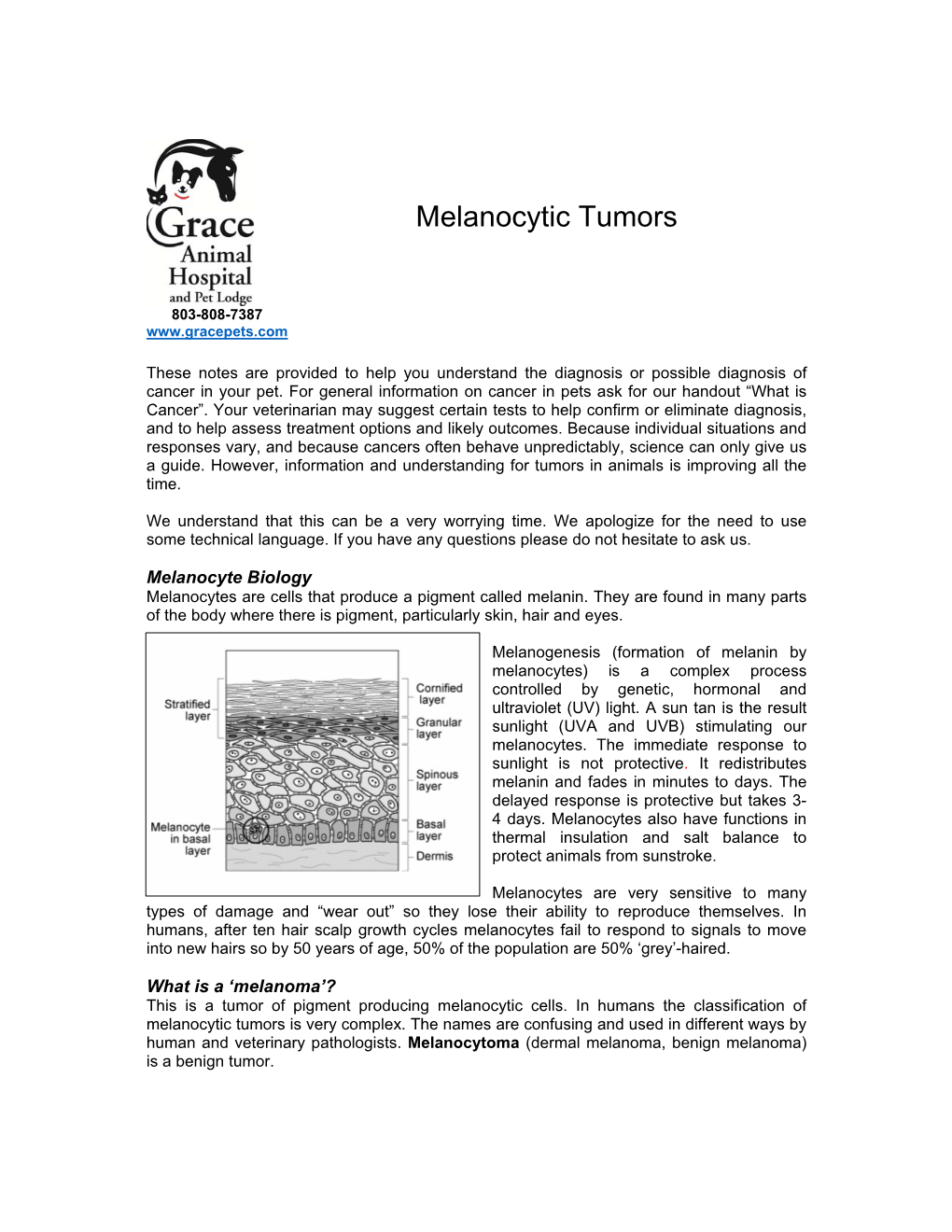 Melanocytic Tumors