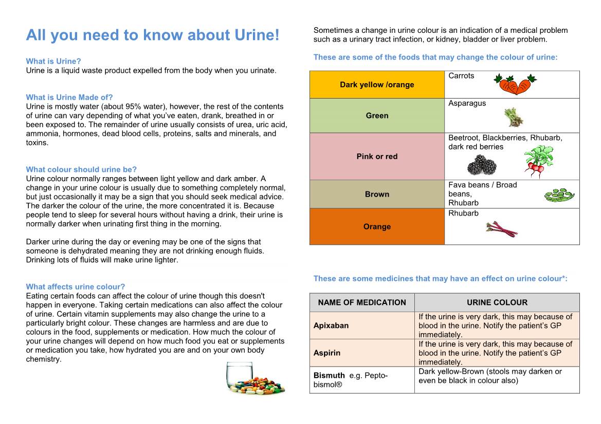 All You Need to Know About Urine! Such As a Urinary Tract Infection, Or Kidney, Bladder Or Liver Problem