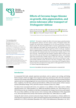 Effects of Curcuma Longa Rhizome on Growth, Skin Pigmentation, and Stress Tolerance After
