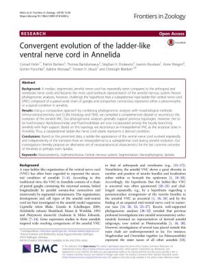 Convergent Evolution of the Ladder-Like Ventral Nerve Cord in Annelida Conrad Helm1*, Patrick Beckers2, Thomas Bartolomaeus2, Stephan H