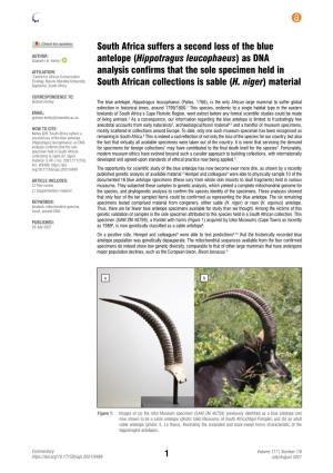 South Africa Suffers a Second Loss of the Blue Antelope (Hippotragus Leucophaeus) As DNA Analysis Confirms That the Sole Specime