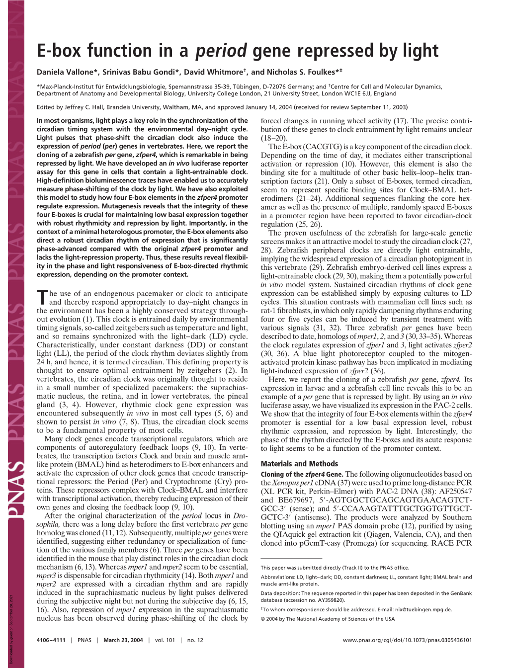 E-Box Function in a Period Gene Repressed by Light