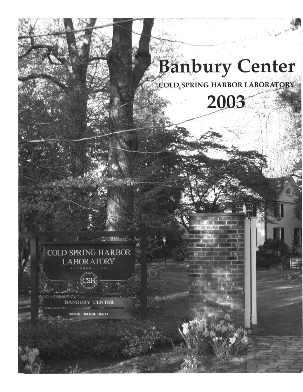 2003 Annual Report