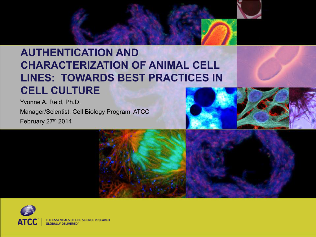 AUTHENTICATION and CHARACTERIZATION of ANIMAL CELL LINES: TOWARDS BEST PRACTICES in CELL CULTURE Yvonne A