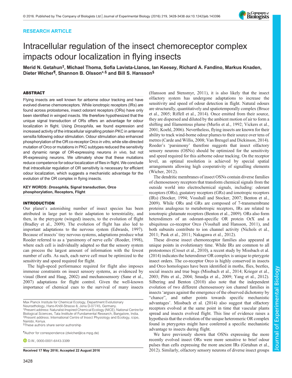 Intracellular Regulation of the Insect Chemoreceptor Complex Impacts Odour Localization in Flying Insects Merid N