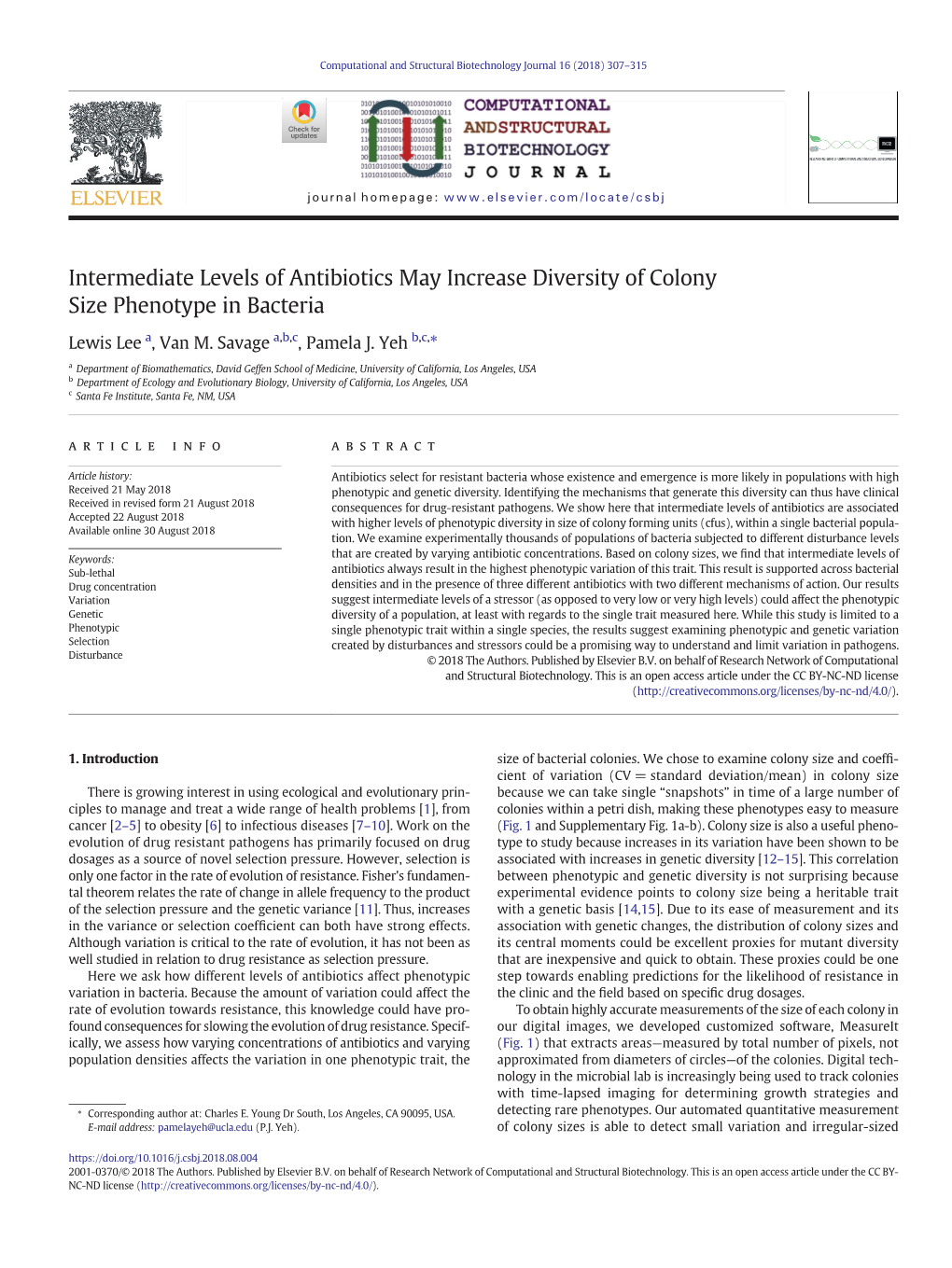 Intermediate Levels of Antibiotics May Increase Diversity of Colony Size Phenotype in Bacteria