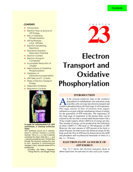 Electron Transport and Oxidative Phosphorylation, the Final Stage of Cell Respiration