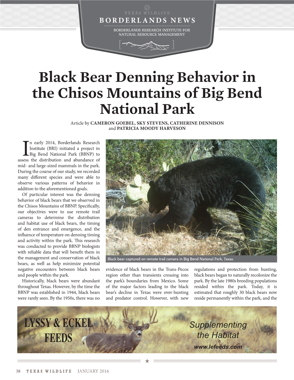 Black Bear Denning Behavior in the Chisos Mountains of Big Bend National Park Article by CAMERON GOEBEL, SKY STEVENS, CATHERINE DENNISON and PATRICIA MOODY HARVESON