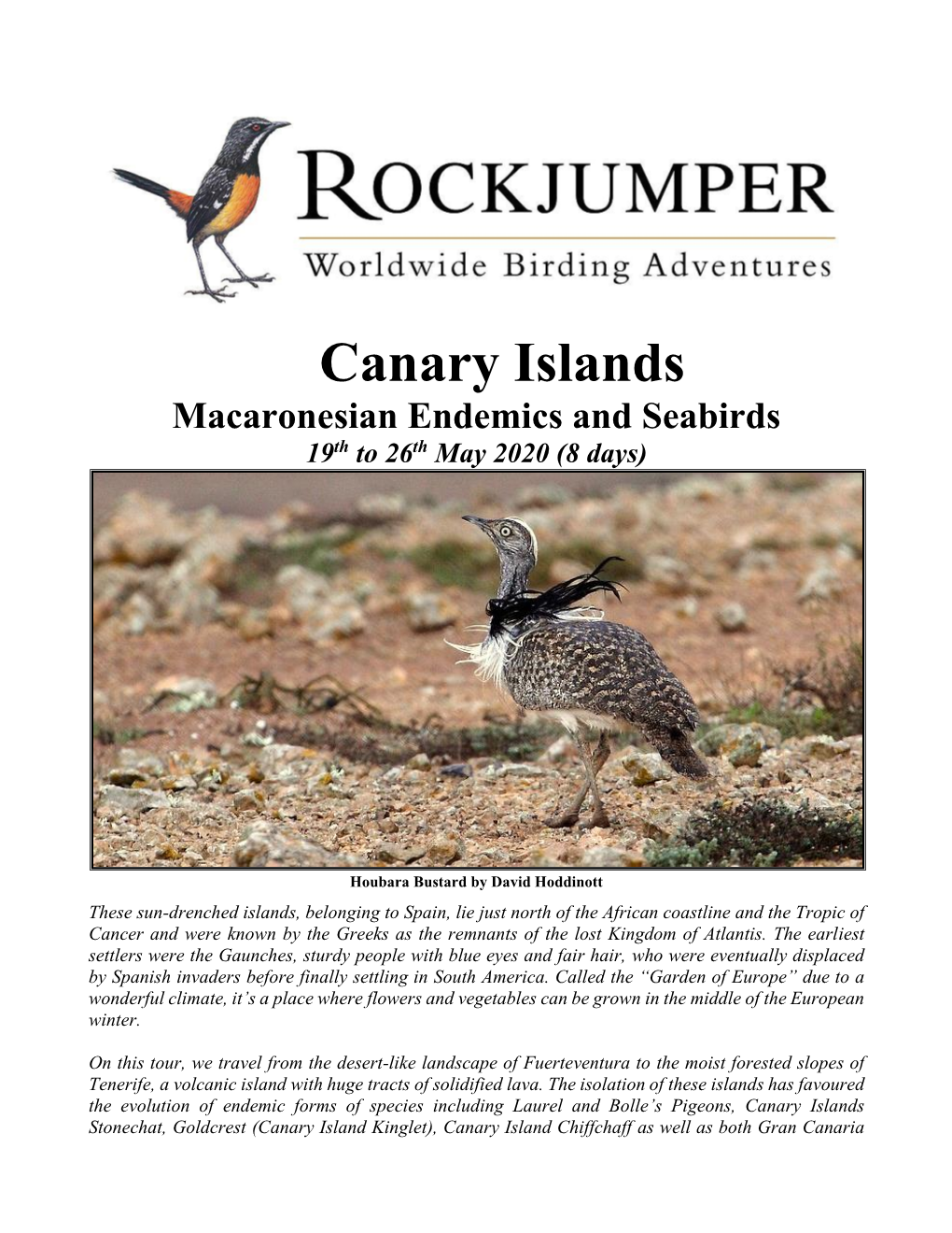 Canary Islands Macaronesian Endemics and Seabirds 19Th to 26Th May 2020 (8 Days)