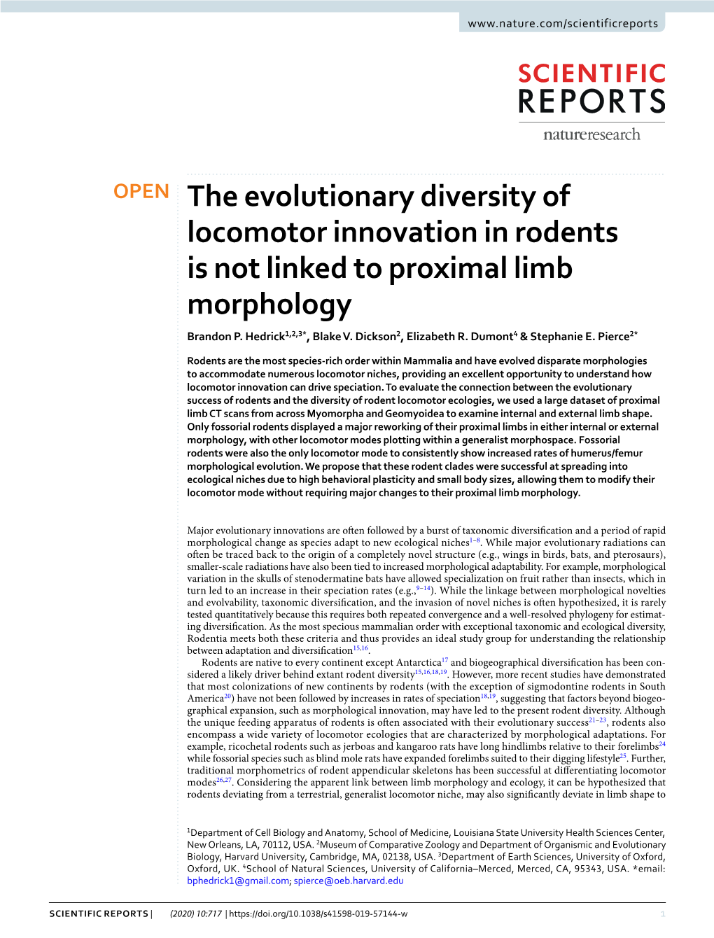The Evolutionary Diversity of Locomotor Innovation in Rodents Is Not Linked to Proximal Limb Morphology Brandon P