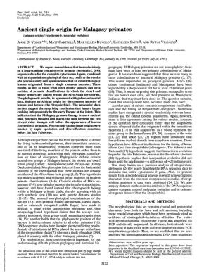 Ancient Single Origin for Malagasy Primates (Primate Origins/Cytochrome B/Molecular Evolution) ANNE D