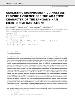 Geometric Morphometric Analyses Provide Evidence