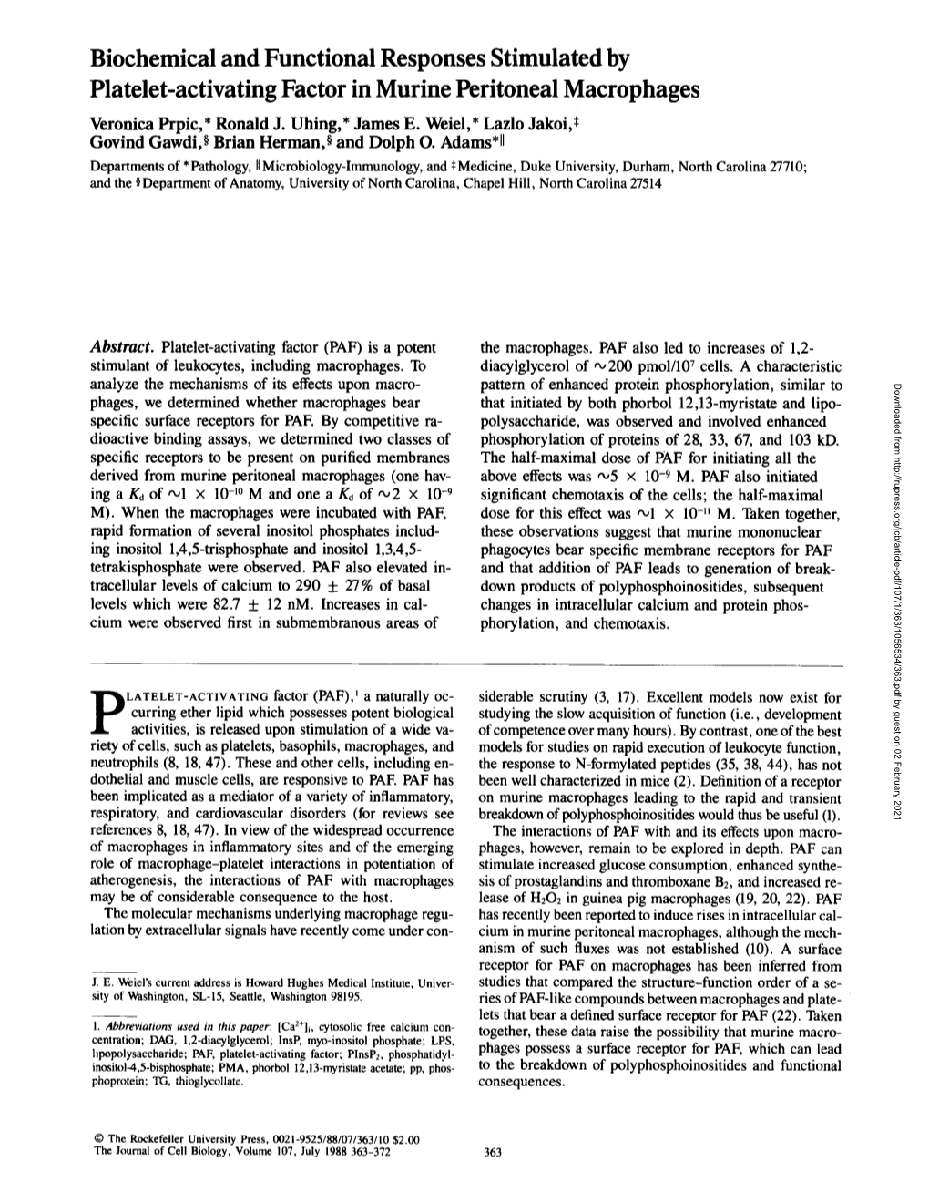 Biochemical and Functional Responses Stimulated by Platelet-Activating Factor in Murine Peritoneal Macrophages