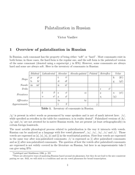 1 Overview of Palatalization in Russian
