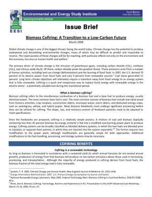 Biomass Cofiring: a Transition to a Low-Carbon Future March 2009
