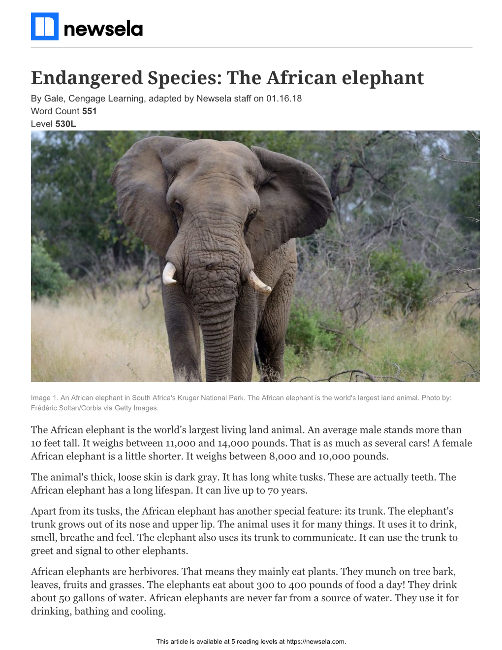 Endangered Species the African Elephant by Gale, Cengage Learning