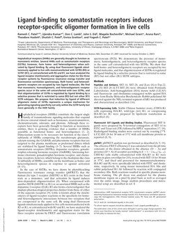 Ligand Binding to Somatostatin Receptors Induces Receptor-Specific Oligomer Formation in Live Cells