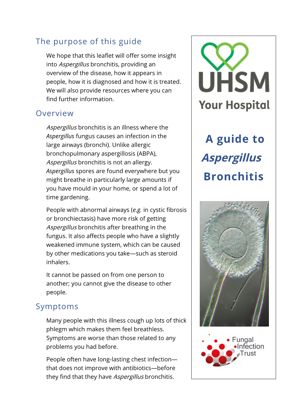 A Guide to Aspergillus Bronchitis