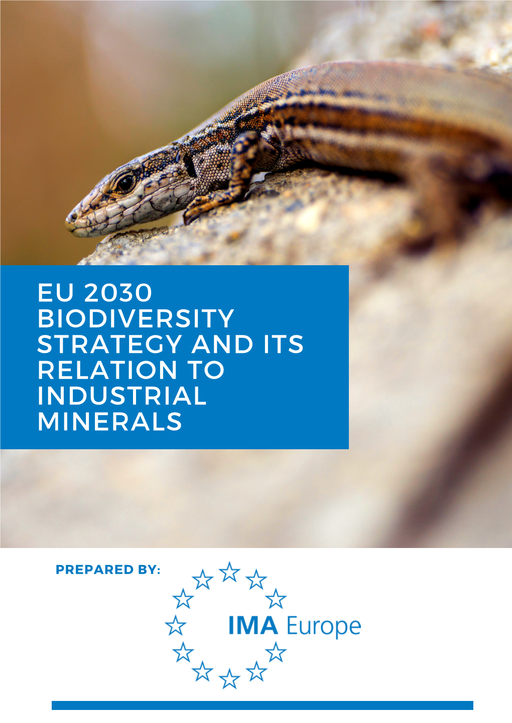Eu 2030 Biodiversity Strategy and Its Relation to Industrial Minerals