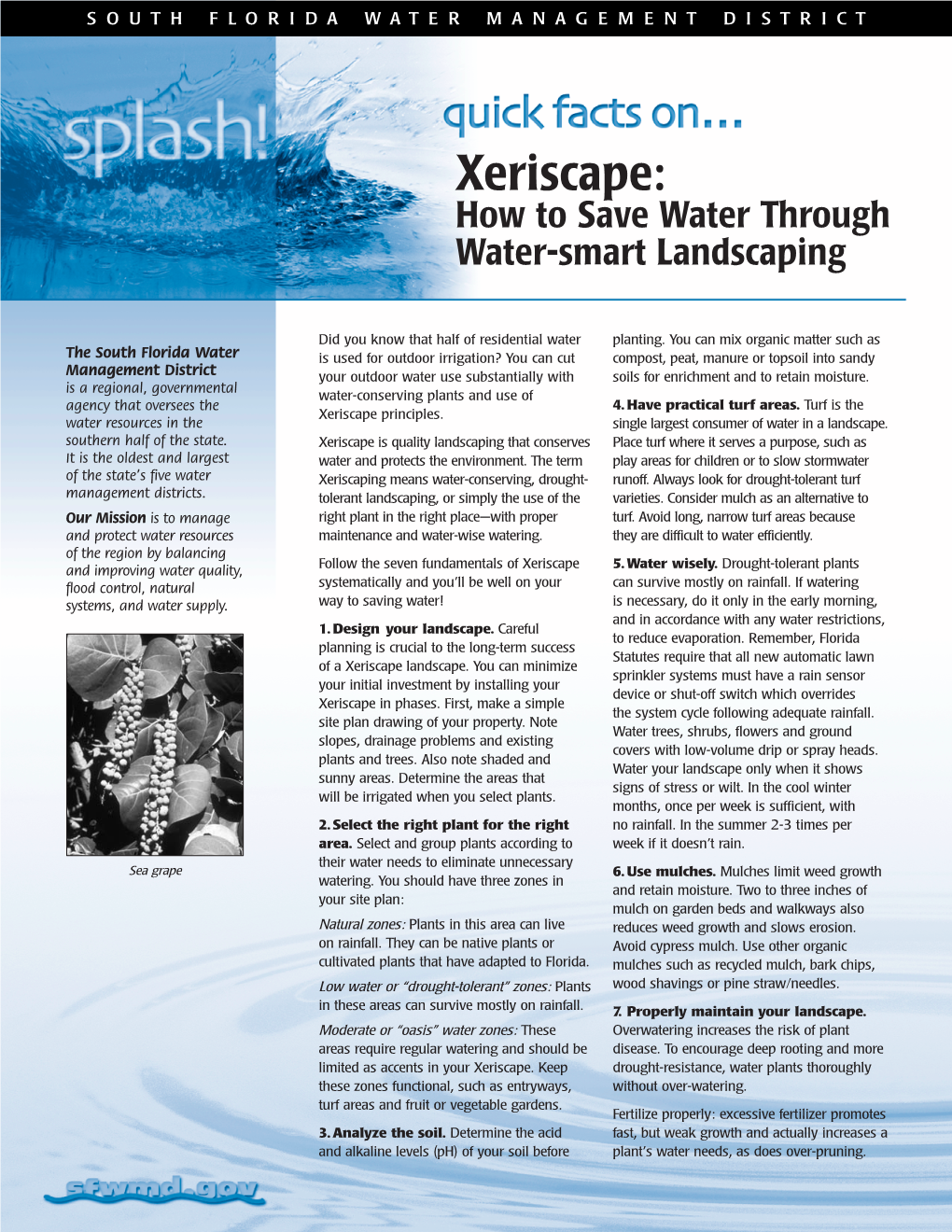 Xeriscape: How to Save Water Through Water-Smart Landscaping
