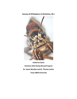 Saenz, Catherine (2012) Survey of Orthoptera in Dominica, W.I