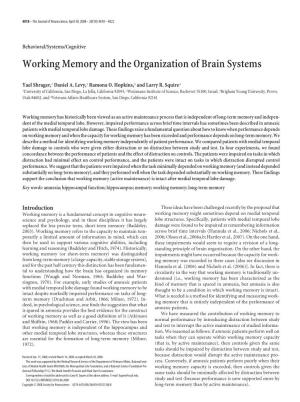 Working Memory and the Organization of Brain Systems