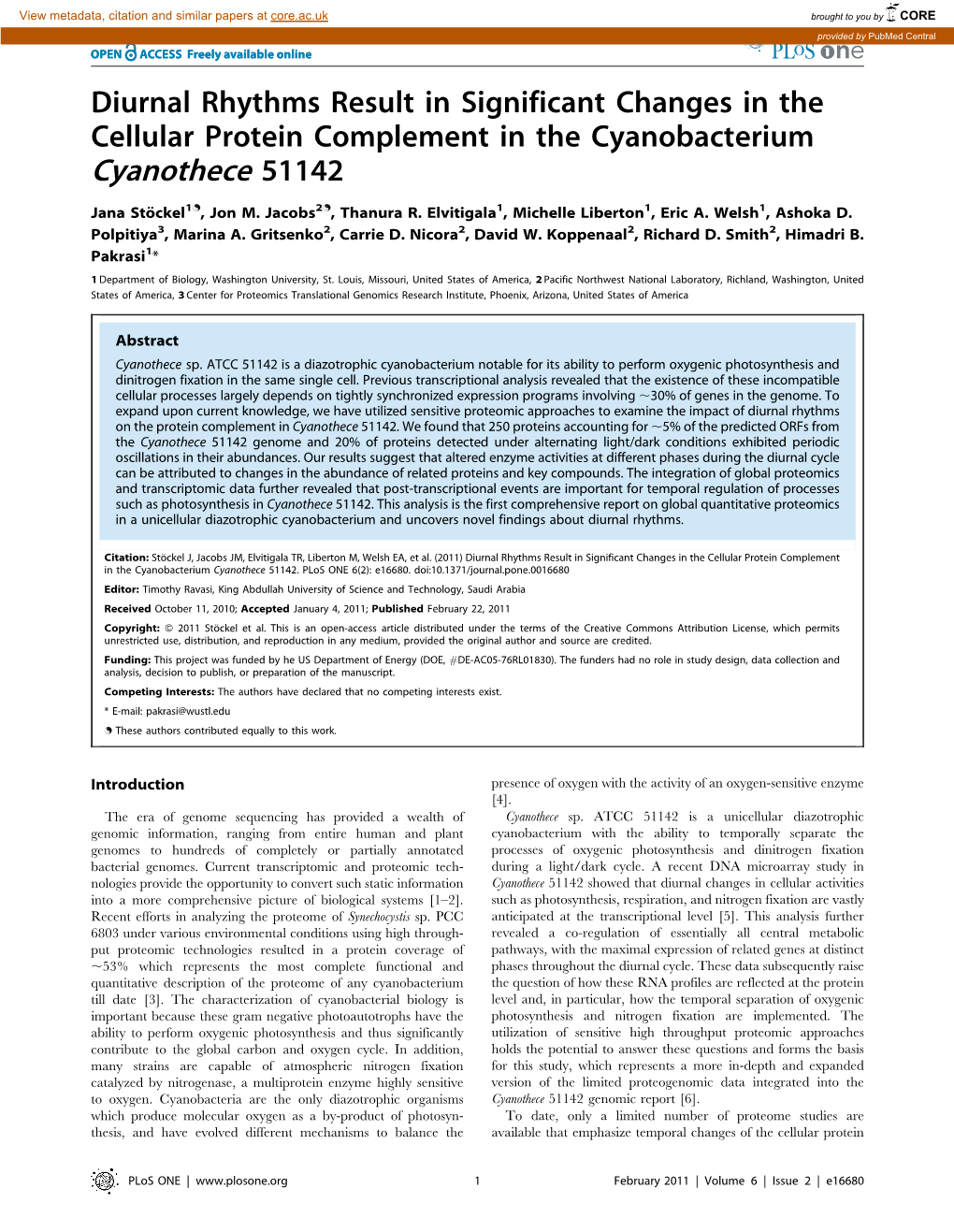 Cyanothece 51142