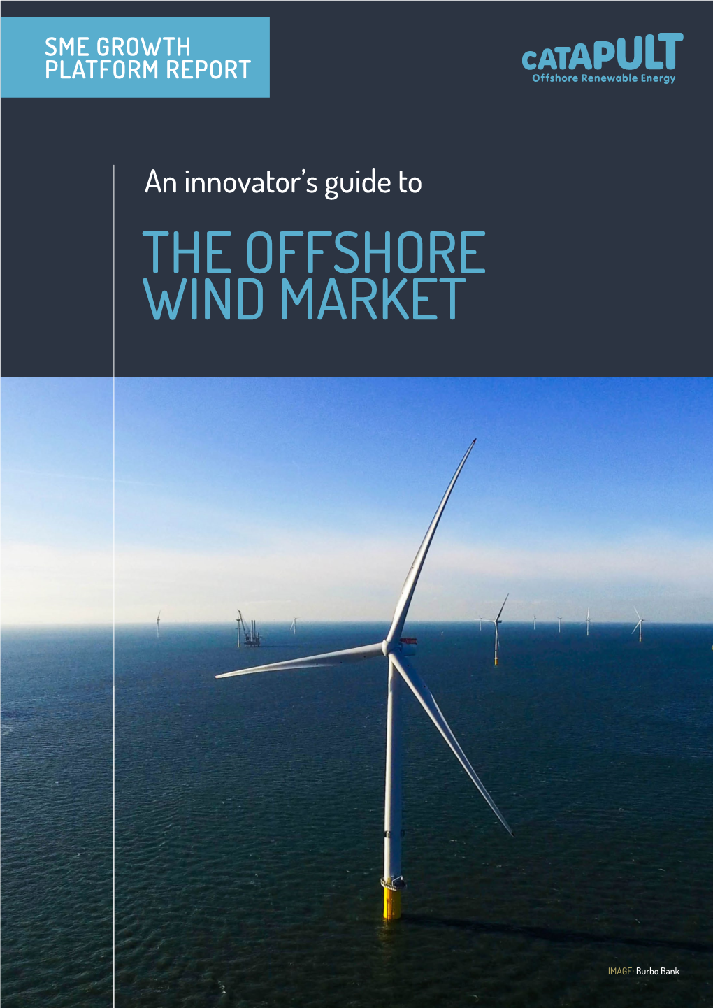 The Offshore Wind Market