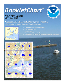 New York Harbor NOAA Chart 12327