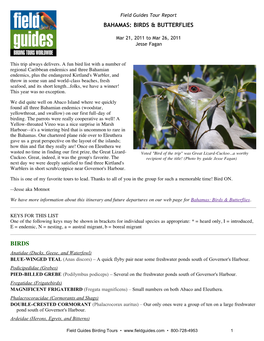 Field Guides Tour Report BAHAMAS: BIRDS & BUTTERFLIES