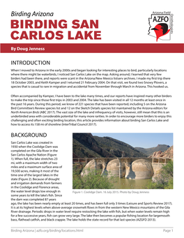 Briding San Carlos Lake
