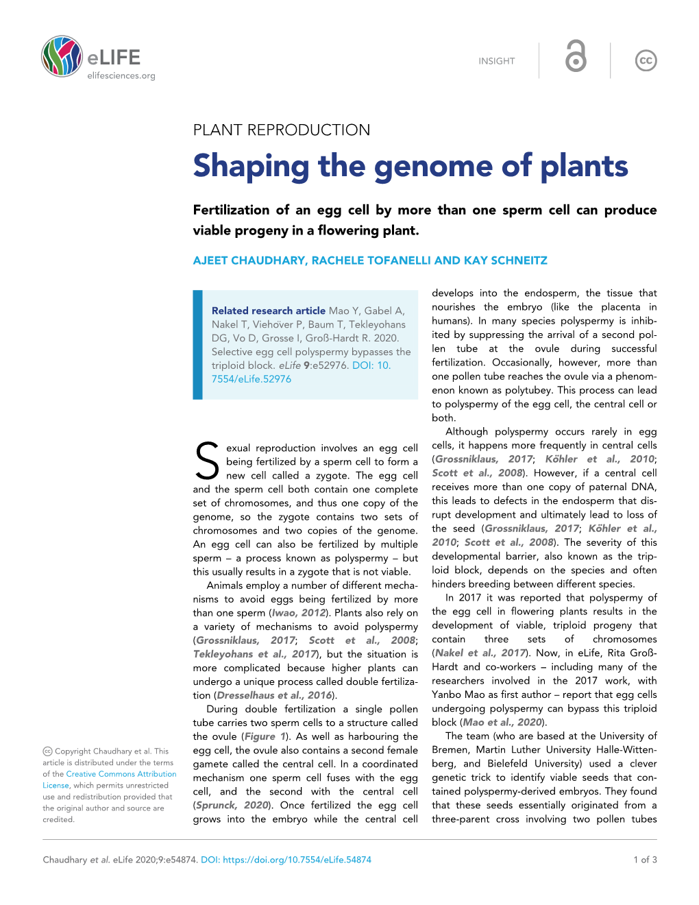 Shaping the Genome of Plants