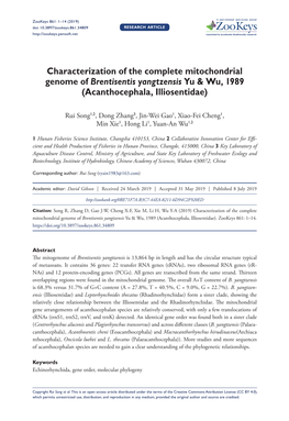 Characterization of the Complete Mitochondrial Genome of Brentisentis Yangtzensis Yu & Wu, 1989 (Acanthocephala, Illiosentidae)