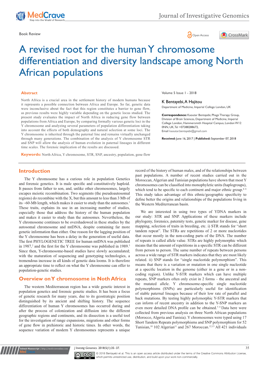 A Revised Root for the Human Y Chromosome Differentiation and Diversity Landscape Among North African Populations