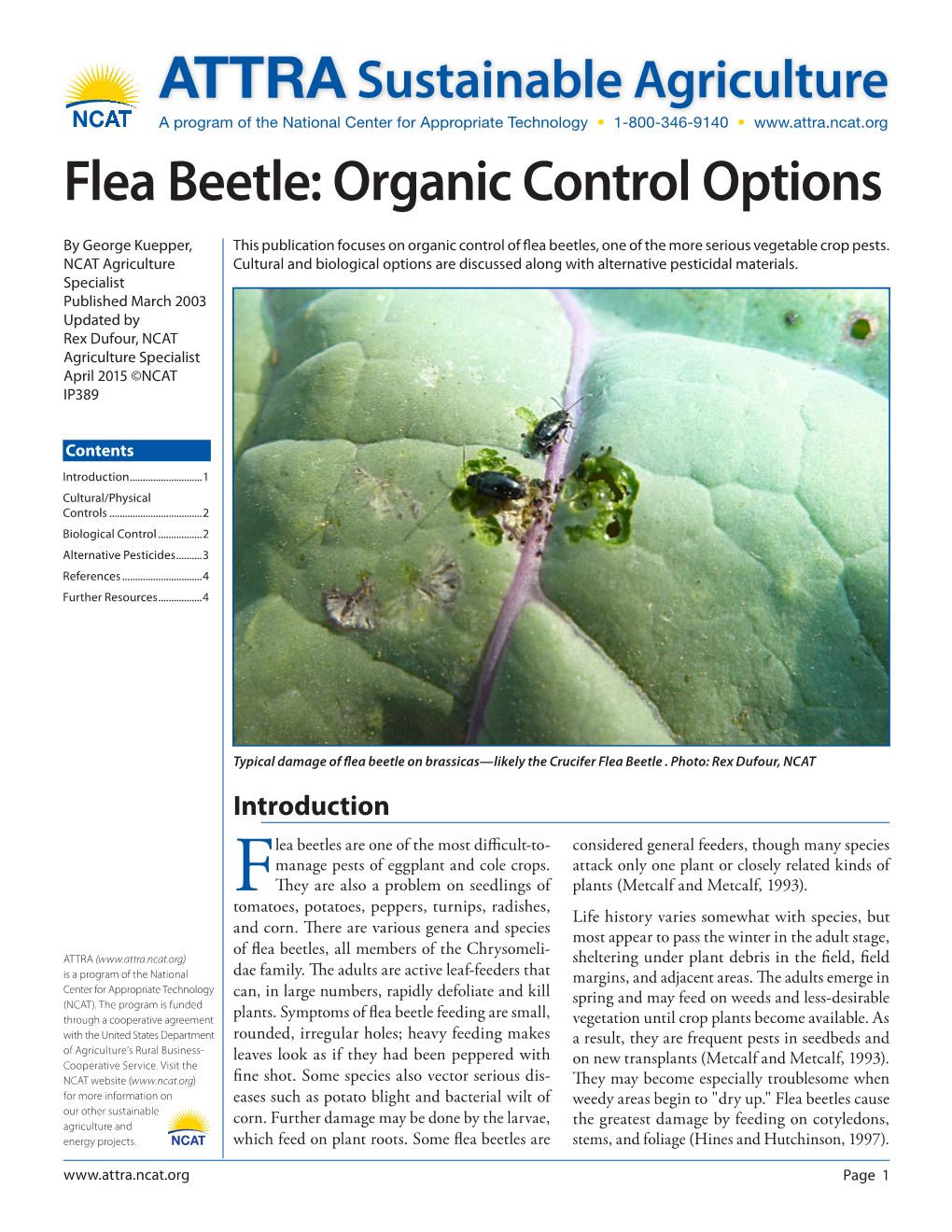 Flea Beetle: Organic Control Options