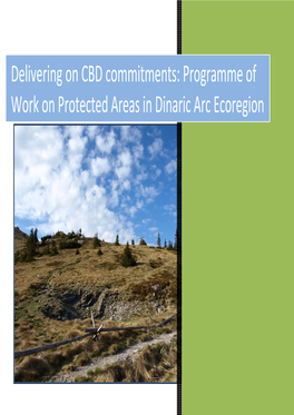 Delivering on CBD Commitments: Programme of Work on Protected Areas in Dinaric Arc Ecoregion