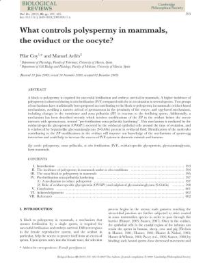 What Controls Polyspermy in Mammals, the Oviduct Or the Oocyte?