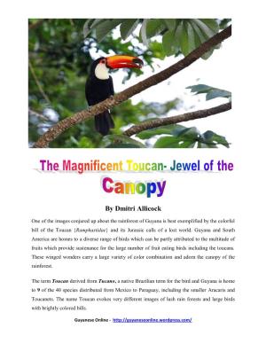 The Magnificent Toucan
