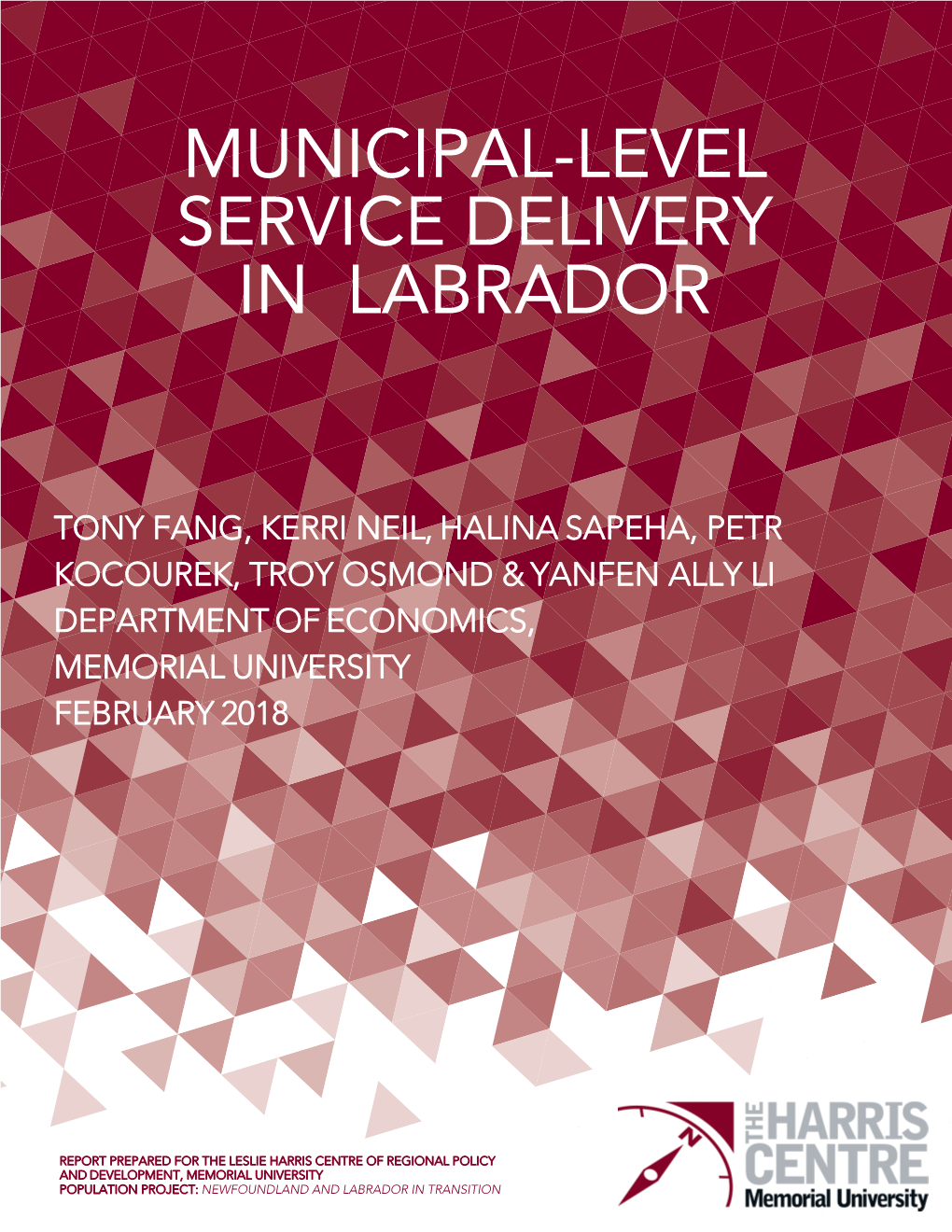 Population Project: Municipal-Level Service Delivery in Labrador